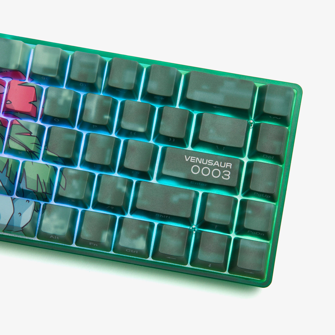 超爆安 Pokémon + HG Basecamp 65HE Keyboard - Venusaur – Higround キーボード