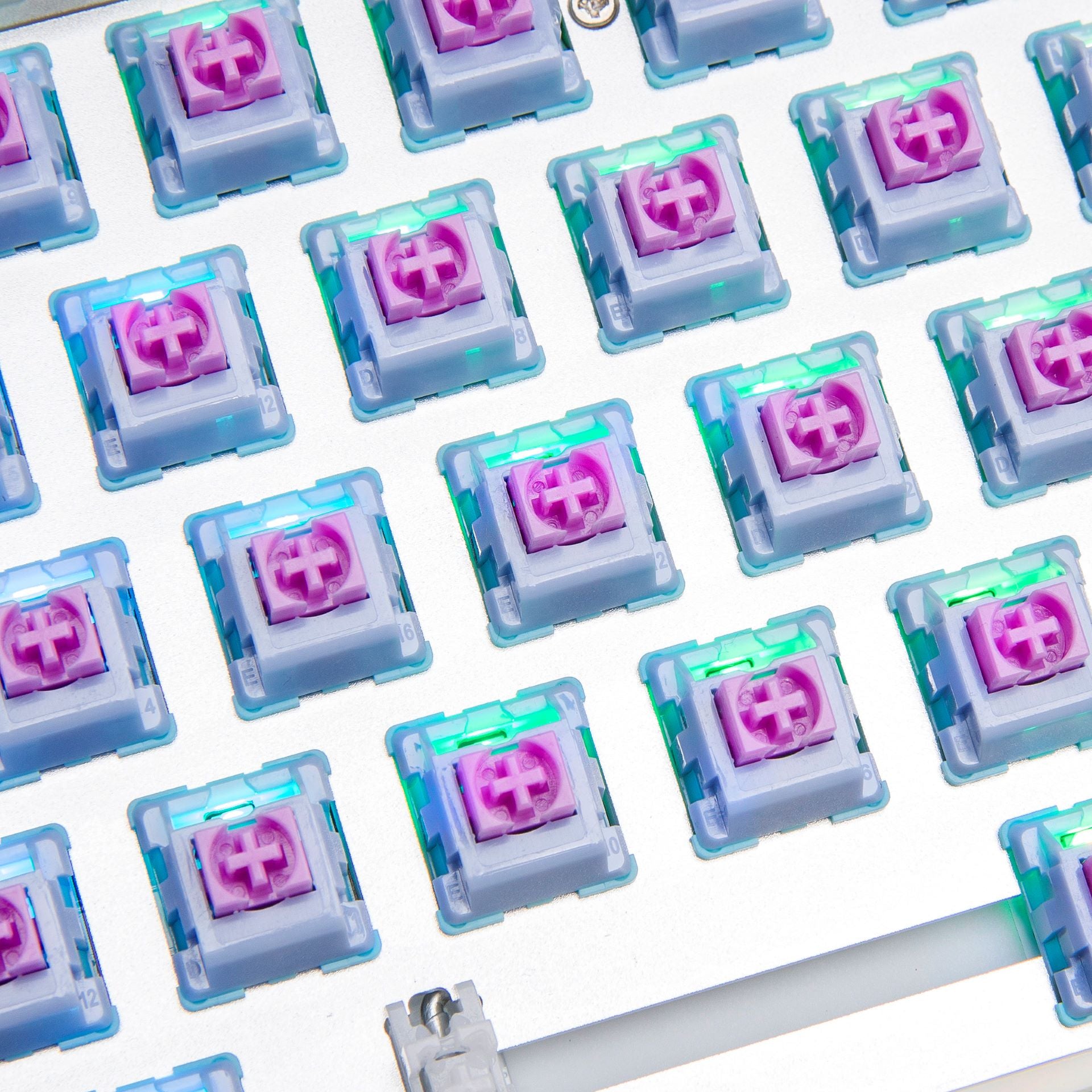 Dreamland Linear Switch Set (Pre-lubed 36 Switches) – Higround